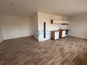 Prodej bytu 1+kk, Doloplazy, 41 m2