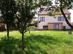 Prodej vícegeneračního domu, Dolní Dunajovice, Rudé armády, 400 m2