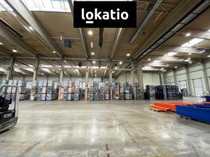 Pronájem výrobních prostor, Litovel, 7670 m2