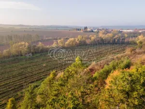 Prodej chaty, Očihov - Očihovec, 21 m2