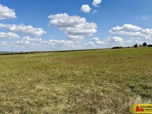 Prodej pozemku pro komerční výstavbu, Znojmo - Mramotice, 8168 m2