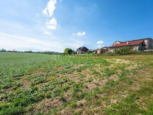 Prodej pozemku pro bydlení, Dobrovice, 7754 m2