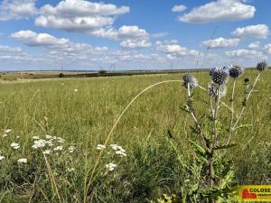 Prodej pozemku pro komerční výstavbu, Znojmo, 27908 m2