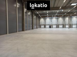 Pronájem skladu, Pardubice, 10000 m2