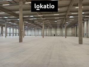 Pronájem skladu, Pardubice, 10000 m2