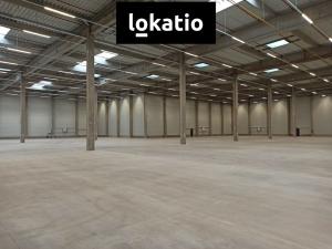 Pronájem skladu, Pardubice, 10000 m2