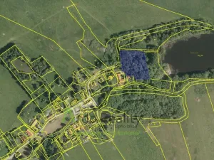 Prodej pozemku pro bydlení, Benešov nad Černou - Hartunkov, 5446 m2