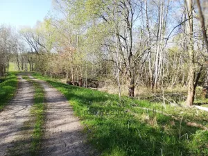 Prodej pozemku pro bydlení, Benešov nad Černou - Hartunkov, 5446 m2