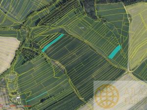 Prodej zemědělské půdy, Vyklantice - Starý Smrdov, 41192 m2