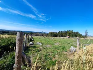 Prodej lesa, Žďár, 233155 m2