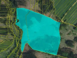 Prodej lesa, Žďár, 233155 m2