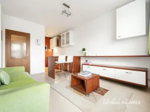 Pronájem bytu 1+1, Praha - Holešovice, U měšťanského pivovaru, 47 m2