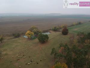 Prodej rodinného domu, Veliká Ves, 1000 m2