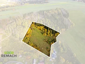 Prodej trvalého travního porostu, Horní Radechová, 20147 m2