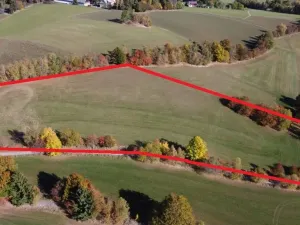 Prodej trvalého travního porostu, Stachy, 15932 m2