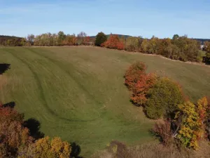 Prodej trvalého travního porostu, Stachy, 15932 m2
