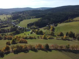 Prodej trvalého travního porostu, Stachy, 15932 m2