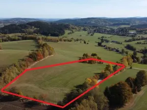 Prodej trvalého travního porostu, Stachy, 15932 m2