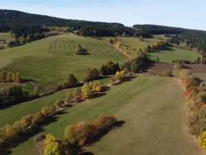 Prodej trvalého travního porostu, Stachy, 15932 m2