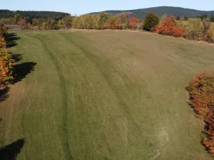 Prodej trvalého travního porostu, Stachy, 15932 m2