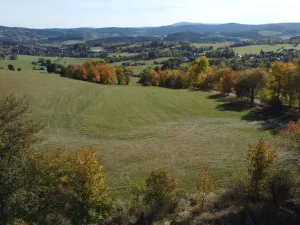 Prodej trvalého travního porostu, Stachy, 15932 m2