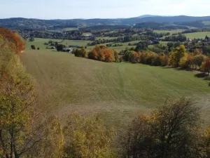 Prodej trvalého travního porostu, Stachy, 15932 m2