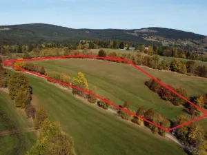 Prodej trvalého travního porostu, Stachy, 15932 m2