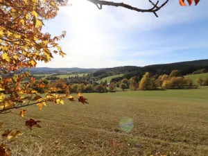 Prodej trvalého travního porostu, Stachy, 15932 m2