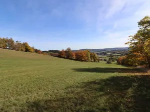 Prodej trvalého travního porostu, Stachy, 15932 m2