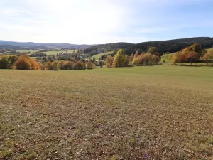 Prodej trvalého travního porostu, Stachy, 15932 m2
