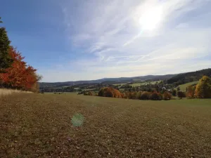Prodej trvalého travního porostu, Stachy, 15932 m2