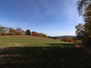Prodej trvalého travního porostu, Stachy, 15932 m2