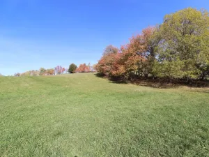Prodej trvalého travního porostu, Stachy, 15932 m2