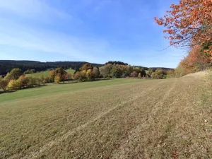 Prodej trvalého travního porostu, Stachy, 15932 m2