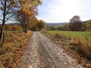 Prodej trvalého travního porostu, Stachy, 15932 m2