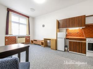 Pronájem bytu 1+kk, Praha - Vinohrady, náměstí Jiřího z Lobkovic, 27 m2