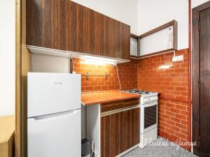 Pronájem bytu 1+kk, Praha - Vinohrady, náměstí Jiřího z Lobkovic, 27 m2