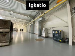 Pronájem výrobních prostor, Uherský Brod, 2409 m2