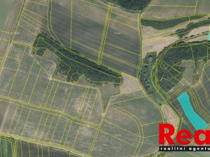 Prodej zemědělské půdy, Krumsín, 7000 m2