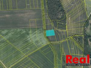Prodej zemědělské půdy, Krumsín, 7000 m2