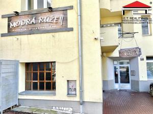 Pronájem restaurace, Brno - Veveří, Kounicova, 330 m2