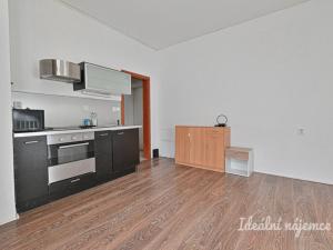 Pronájem bytu 1+kk, Brno - Veveří, Kotlářská, 20 m2