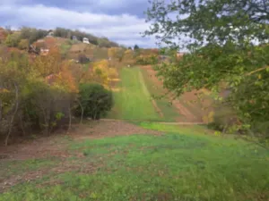 Prodej zahrady, Sivice, 1458 m2