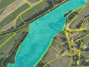 Prodej pozemku, Ohrazenice, 10000 m2