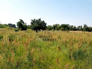 Prodej pozemku pro bydlení, Lužice, 2355 m2