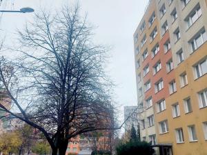 Prodej bytu 1+1, Olomouc, Trnkova, 33 m2