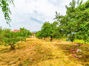 Prodej rodinného domu, Čechočovice, 300 m2