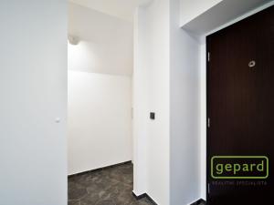 Pronájem bytu 2+kk, Praha - Vinohrady, Perucká, 60 m2