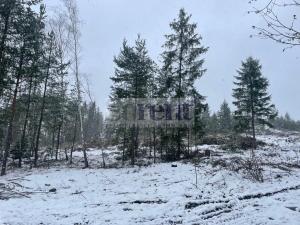 Prodej lesa, Vimperk, 115660 m2