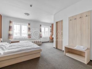 Prodej ubytování, Slezské Rudoltice, 498 m2